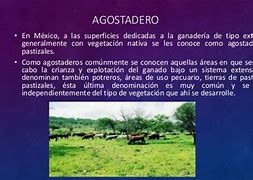 Image result for agistadero