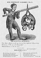 Image result for Lincoln Political Cartoon