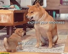 Image result for Potato Dog Meme