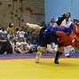 Image result for Sombo Martial Arts