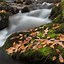 Image result for Pembrokeshire Waterfalls