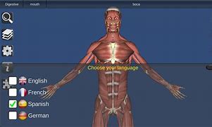 Image result for Human Body Part 3D View