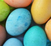 Image result for Egg Photography