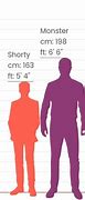Image result for 6 Foot 7 in Cm