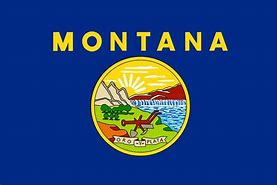 Image result for Montana State Flag