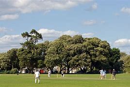 Image result for Cricket Bowling High Quality Image