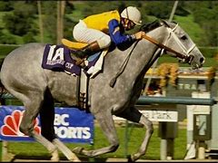 Image result for Lady's Secret Racehorse