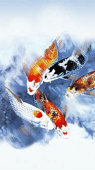 Image result for Lucky Fish iPhone Wallpaper