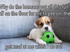 Image result for Funny Dog Thinking