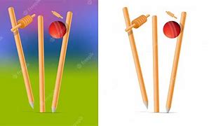 Image result for Wicket Cricket Stumps