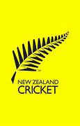 Image result for New Zealand Cricket Team Logo