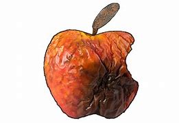 Image result for Rotten Apple Slices