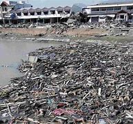 Image result for Tsunami Bodies