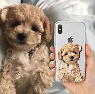 Image result for Dog Phone Cases