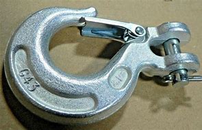 Image result for Lory Chain Hook