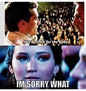 Image result for Catching Fire Memes