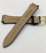 Image result for Citizen Eco Drive Watch Band