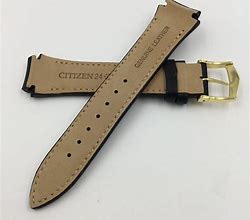 Image result for Citizen Watch Bands