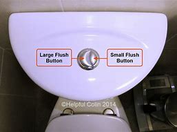 Image result for Thomas Dudley Dual Flush Button
