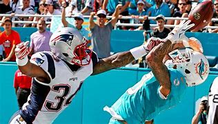 Image result for Dolphins vs Patriots Fight
