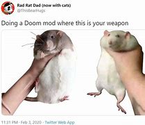 Image result for Person Aggresively Holding Rat Meme