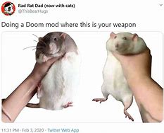 Image result for Rat Hold Meme