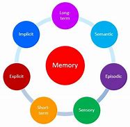 Image result for Varieties of Long-Term Memory Chart