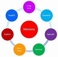 Image result for Types of Long-Term Memory