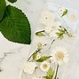Image result for iPhone 11 Flower Phone Cases
