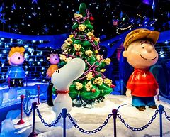 Image result for Charlie Brown Christmas Scenes