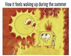 Image result for Funny Hot Summer Memes