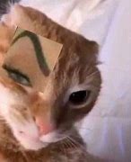 Image result for Sus Eyebrow Meme