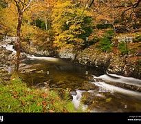 Image result for Afon Conwy