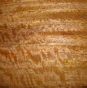 Image result for Mango Wood Material