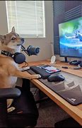 Image result for Look at Computer Meme