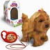 Image result for Walk the Dog Toy