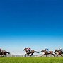 Image result for Goodwood Horse Racing Course