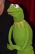Image result for Kermit the Frog Hoodie