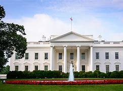Image result for executive branch