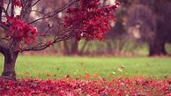 Image result for Best Natural Lock Screen Wallpapers HD for Laptop