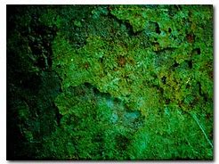 Image result for Free Grunge Textures for Photoshop