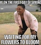 Image result for Funny Spring Time Memes