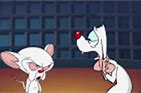 Image result for Sad Pinky and the Brain