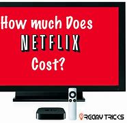 Image result for How Much Does Netflix Cost a Month