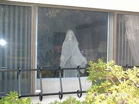 Image result for Halloween Window Drop Ghost