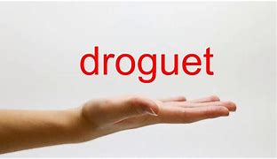 Image result for droguete