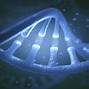 Image result for Parts of DNA Structure