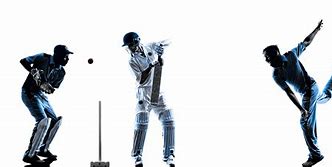 Image result for Bowler in Cricket