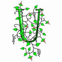 Image result for Line Drawing of the Letter U