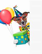 Image result for Happy New Year Animal Funny Dogs